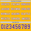 Custom Hockey Jersey – Triple Stripes Gold Purple White Long Sleeve – personalization font options
