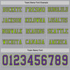 Custom Hockey Jersey – Triple Stripes Gray Purple Neon Green Long Sleeve – personalization font options